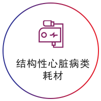 结构性心脏类耗材